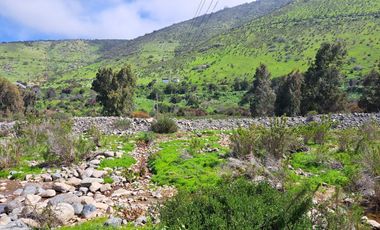 OPORTUNIDAD!! UF 4.300  PARCELA 14há COMUNA DE LOS VILOS