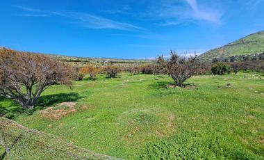 OPORTUNIDAD!! UF 4.300  PARCELA 14há COMUNA DE LOS VILOS