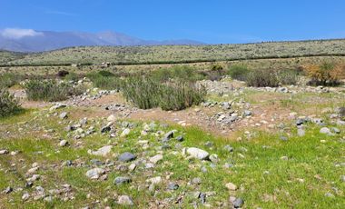 OPORTUNIDAD!! UF 4.300  PARCELA 14há COMUNA DE LOS VILOS