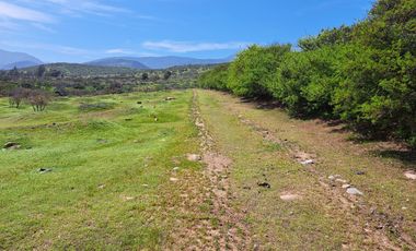 OPORTUNIDAD!! UF 4.300  PARCELA 14há COMUNA DE LOS VILOS