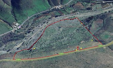 OPORTUNIDAD!! UF 4.300  PARCELA 14há COMUNA DE LOS VILOS