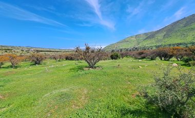 OPORTUNIDAD!! UF 4.300  PARCELA 14há COMUNA DE LOS VILOS