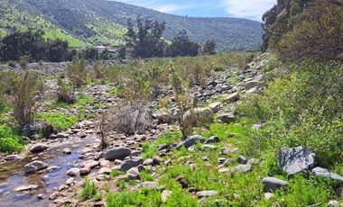OPORTUNIDAD!! UF 4.300  PARCELA 14há COMUNA DE LOS VILOS