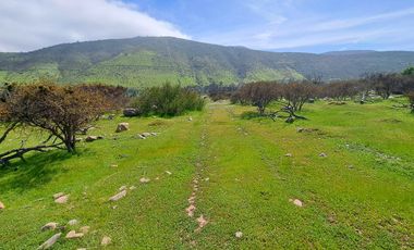 OPORTUNIDAD!! UF 4.300  PARCELA 14há COMUNA DE LOS VILOS