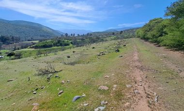 OPORTUNIDAD!! UF 4.300  PARCELA 14há COMUNA DE LOS VILOS