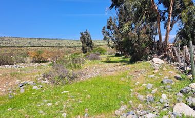 OPORTUNIDAD!! UF 4.300  PARCELA 14há COMUNA DE LOS VILOS