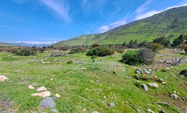 OPORTUNIDAD!! UF 4.300  PARCELA 14há COMUNA DE LOS VILOS