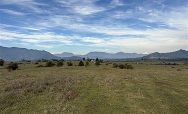 Agrícola en Venta en San Gregorio Parcela 68
