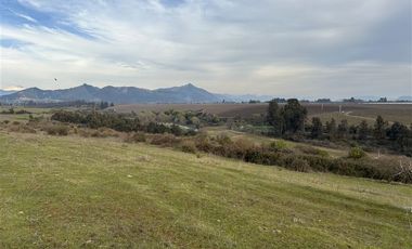 Agrícola en Venta en San Gregorio Parcela 68