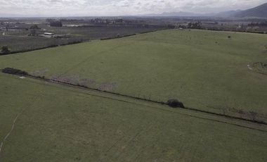 Agrícola en Venta en San Gregorio Parcela 68