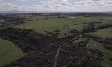 Agrícola en Venta en San Gregorio Parcela 68