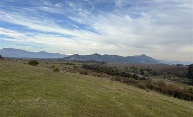 Agrícola en Venta en San Gregorio Parcela 68