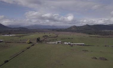 Agrícola en Venta en San Gregorio Parcela 68