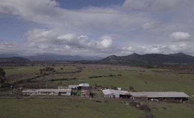 Agrícola en Venta en San Gregorio Parcela 68