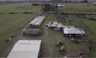 Agrícola en Venta en San Gregorio Parcela 68