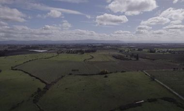 Agrícola en Venta en San Gregorio Parcela 68