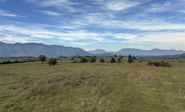 Agrícola en Venta en San Gregorio Parcela 68