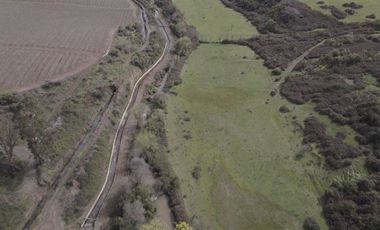 Agrícola en Venta en San Gregorio Parcela 68