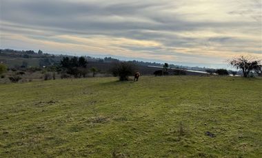 Agrícola en Venta en San Gregorio Parcela 68