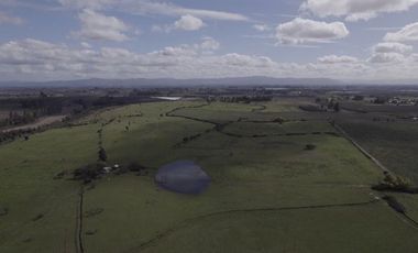 Agrícola en Venta en San Gregorio Parcela 68