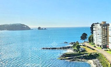 Pingueral departamento con vista al mar