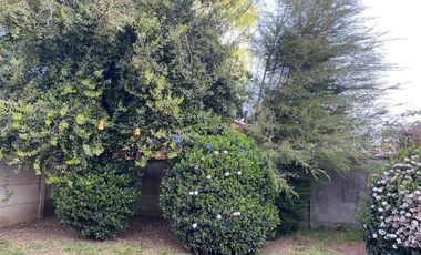 A POCOS PASOS DE COLEGIO ALBORADA