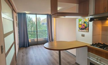 DIAGONAL PARAGUAY 24