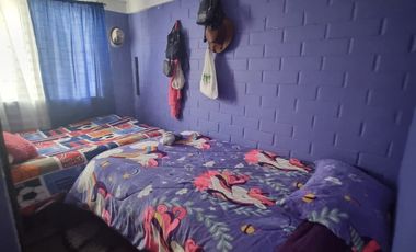 NUEVA FLORIDA Y MADRID
