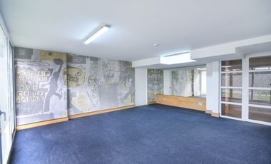 LOS ESPINOS Y AV MACUL