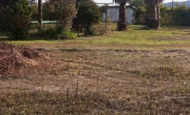 LAGO RAPEL, LAS CABRAS