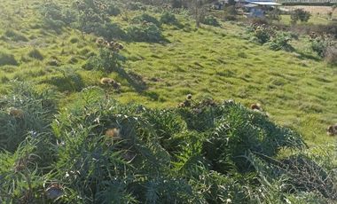 MANANTIALES DE LITUECHE