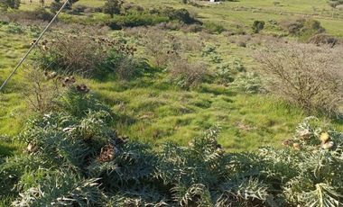 MANANTIALES DE LITUECHE