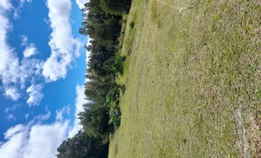 Grace Kelm VENDE parcela de 1,48 ha con casa regularizada 2 dorm 1 baño amoblada en Chiloe