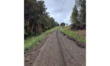 Grace Kelm VENDE parcela de 1,48 ha con casa regularizada 2 dorm 1 baño amoblada en Chiloe