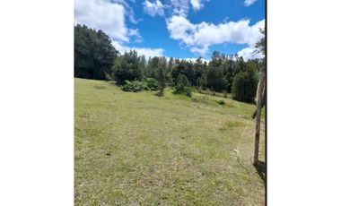 Grace Kelm VENDE parcela de 1,48 ha con casa regularizada 2 dorm 1 baño amoblada en Chiloe