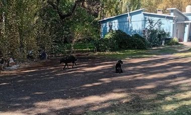 Vende Casa Quinta por Ruta 22 en Allén