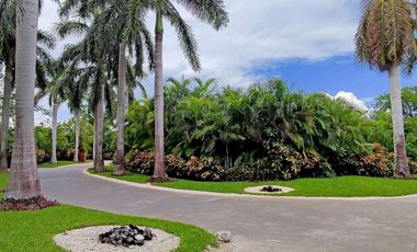 VILLA DE VANGUARDIA FRENTE AL MAR EN ROSEWOOD MAYAKOBA