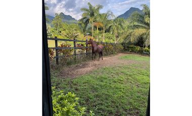 VENTA FINCA VENECIA,  SUROESTE ANTIOQUEÑO