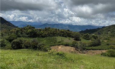 VENTA LOTE TARSO SUROESTE ANTIOQUEÑO