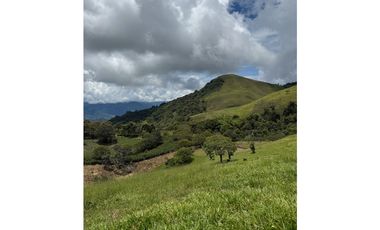 VENTA LOTE TARSO SUROESTE ANTIOQUEÑO