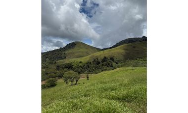 VENTA LOTE TARSO SUROESTE ANTIOQUEÑO