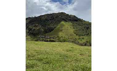 VENTA LOTE TARSO SUROESTE ANTIOQUEÑO