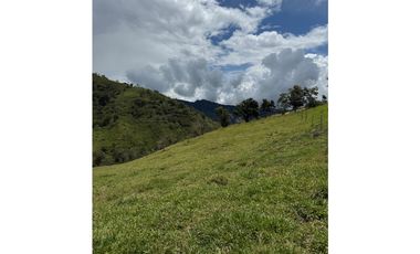 VENTA LOTE TARSO SUROESTE ANTIOQUEÑO