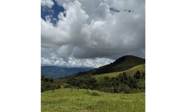 VENTA LOTE TARSO SUROESTE ANTIOQUEÑO