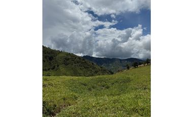 VENTA LOTE TARSO SUROESTE ANTIOQUEÑO