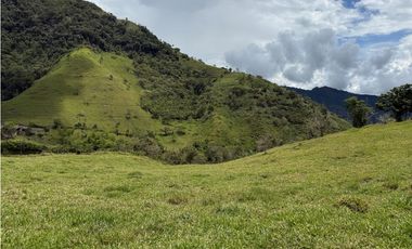 VENTA LOTE TARSO SUROESTE ANTIOQUEÑO