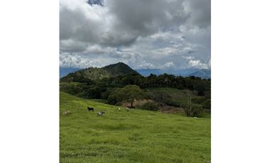 VENTA LOTE TARSO SUROESTE ANTIOQUEÑO