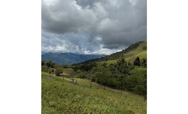 VENTA LOTE TARSO SUROESTE ANTIOQUEÑO