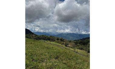 VENTA LOTE TARSO SUROESTE ANTIOQUEÑO