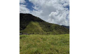 VENTA LOTE TARSO SUROESTE ANTIOQUEÑO